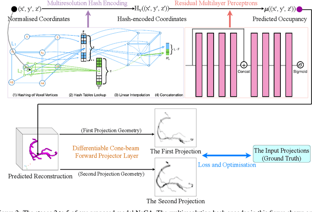 Figure 3 for NeCA: 3D Coronary Artery Tree Reconstruction from Two 2D Projections by Neural Implicit Representation