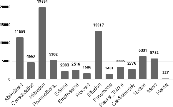 Figure 1 for SynthEnsemble: A Fusion of CNN, Vision Transformer, and Hybrid Models for Multi-Label Chest X-Ray Classification