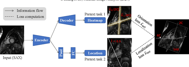 Figure 1 for Self-Supervised Learning for Medical Image Data with Anatomy-Oriented Imaging Planes