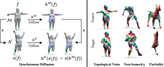 Figure 1 for Synchronous Diffusion for Unsupervised Smooth Non-Rigid 3D Shape Matching