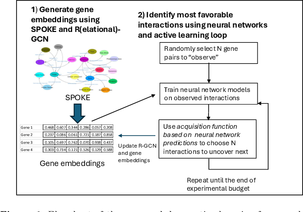 Figure 1 for Deep Active Learning based Experimental Design to Uncover Synergistic Genetic Interactions for Host Targeted Therapeutics