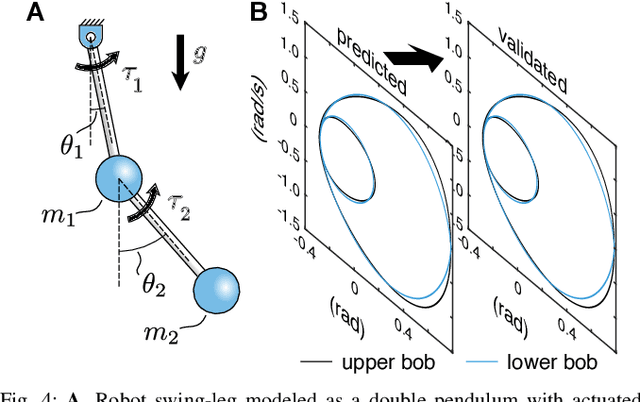 Figure 4 for Single-Stage Optimization of Open-loop Stable Limit Cycles with Smooth, Symbolic Derivatives
