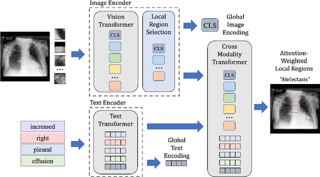 Figure 1 for Local Contrastive Learning for Medical Image Recognition