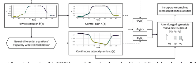 Figure 1 for TANDEM: Temporal Attention-guided Neural Differential Equations for Missingness in Time Series Classification