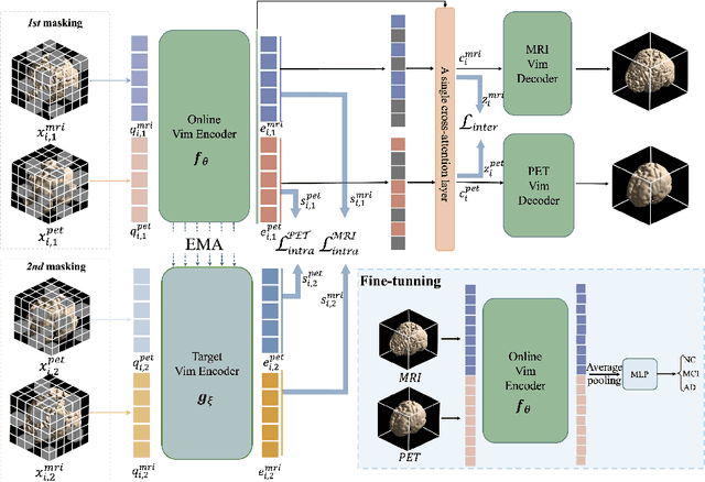 Figure 1 for CMViM: Contrastive Masked Vim Autoencoder for 3D Multi-modal Representation Learning for AD classification