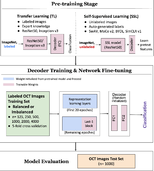 Figure 3 for Self-Supervised Learning Featuring Small-Scale Image Dataset for Treatable Retinal Diseases Classification