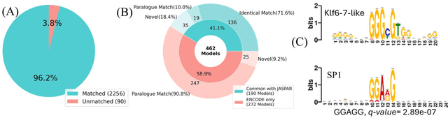 Figure 4 for DeepVRegulome: DNABERT-based deep-learning framework for predicting the functional impact of short genomic variants on the human regulome