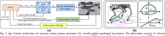 Figure 2 for Visual CPG-RL: Learning Central Pattern Generators for Visually-Guided Quadruped Navigation