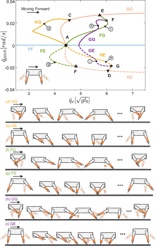 Figure 4 for Breaking Symmetries Leads to Diverse Quadrupedal Gaits