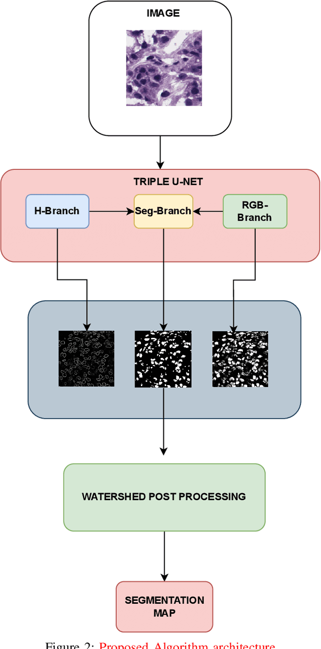Figure 2 for Nuclei Instance Segmentation of Cryosectioned H&E Stained Histological Images using Triple U-Net Architecture