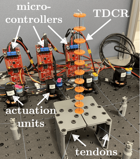 Figure 1 for Toward Dynamic Control of Tendon-Driven Continuum Robots using Clarke Transform