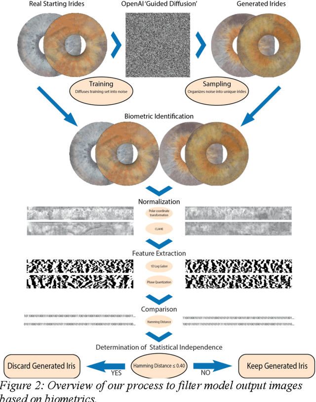Figure 3 for Generating a Biometrically Unique and Realistic Iris Database