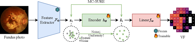 Figure 1 for Generalized Robust Fundus Photography-based Vision Loss Estimation for High Myopia