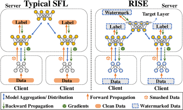 Figure 1 for Robust Client-Server Watermarking for Split Federated Learning