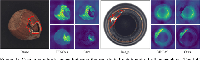 Figure 1 for AD-DINOv3: Enhancing DINOv3 for Zero-Shot Anomaly Detection with Anomaly-Aware Calibration
