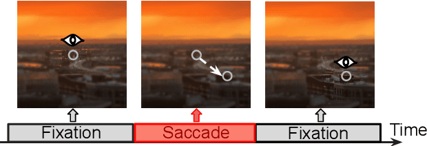 Figure 2 for Foveated Instance Segmentation
