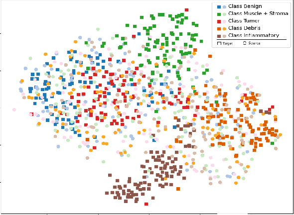 Figure 1 for Domain-Adaptive Learning: Unsupervised Adaptation for Histology Images with Improved Loss Function Combination