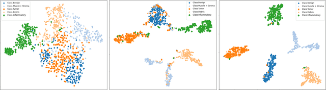 Figure 4 for Domain-Adaptive Learning: Unsupervised Adaptation for Histology Images with Improved Loss Function Combination