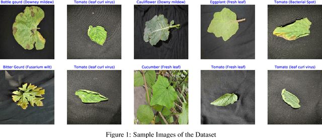 Figure 2 for An Approach Towards Identifying Bangladeshi Leaf Diseases through Transfer Learning and XAI