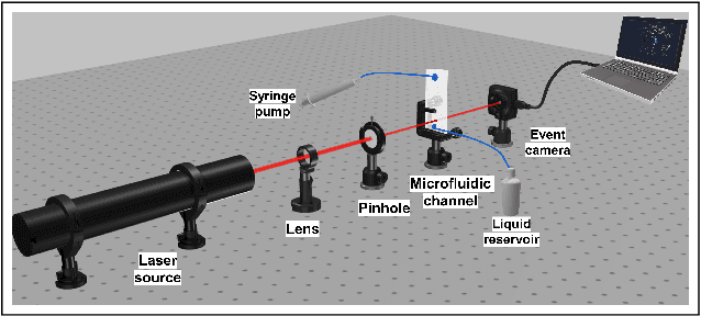 Figure 1 for Training a spiking neural network on an event-based label-free flow cytometry dataset