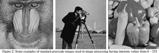 Figure 3 for A Comparative Study of Image Denoising Algorithms