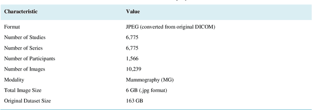 Figure 1 for Transformer-Based Explainable Deep Learning for Breast Cancer Detection in Mammography: The MammoFormer Framework