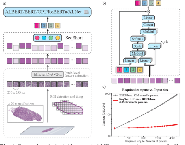 Figure 1 for Language models are good pathologists: using attention-based sequence reduction and text-pretrained transformers for efficient WSI classification