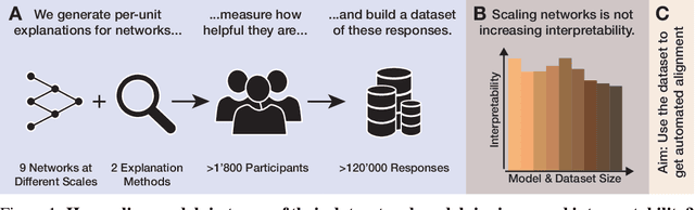 Figure 1 for Scale Alone Does not Improve Mechanistic Interpretability in Vision Models