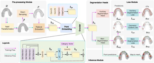 Figure 1 for TFormer: 3D Tooth Segmentation in Mesh Scans with Geometry Guided Transformer