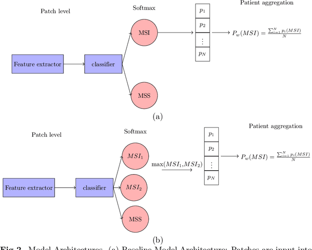 Figure 2 for Biologically-primed deep neural network improves colorectal Cancer Molecular subtypes prediction from H&E stained images