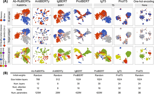 Figure 3 for Antibody Foundational Model : Ab-RoBERTa