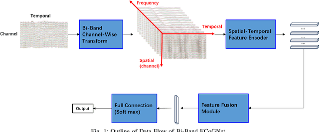 Figure 1 for Bi-Band ECoGNet for ECoG Decoding on Classification Task