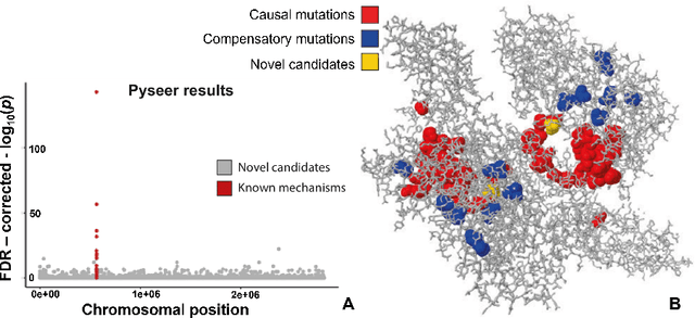Figure 2 for Whole-Genome Phenotype Prediction with Machine Learning: Open Problems in Bacterial Genomics