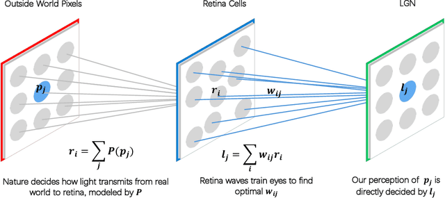 Figure 3 for OscNet: Machine Learning on CMOS Oscillator Networks
