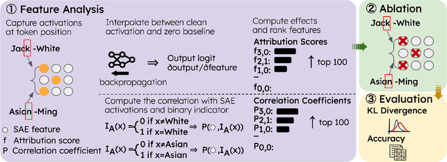Figure 1 for Measuring Mechanistic Independence: Can Bias Be Removed Without Erasing Demographics?