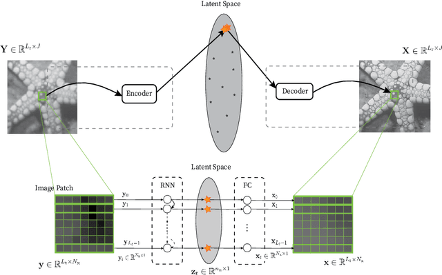 Figure 1 for One-Shot Image Restoration