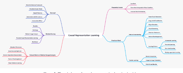 Figure 3 for A Survey on Causal Representation Learning and Future Work for Medical Image Analysis