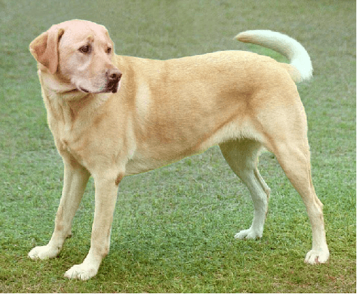 Figure 4 for Realization RGBD Image Stylization