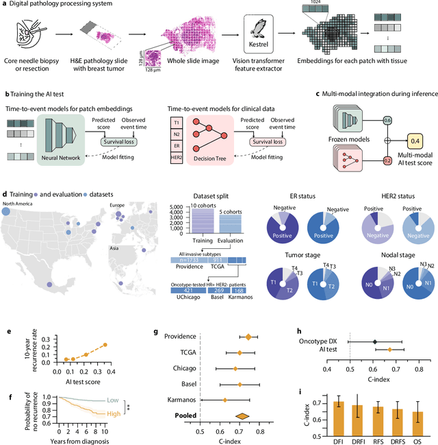 Figure 1 for Multi-modal AI for comprehensive breast cancer prognostication