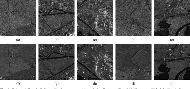 Figure 2 for From Spaceborn to Airborn: SAR Image Synthesis Using Foundation Models for Multi-Scale Adaptation