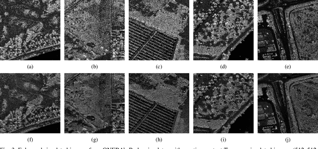 Figure 3 for From Spaceborn to Airborn: SAR Image Synthesis Using Foundation Models for Multi-Scale Adaptation