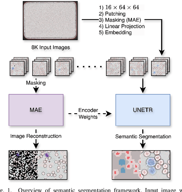 Figure 1 for Masked strategies for images with small objects