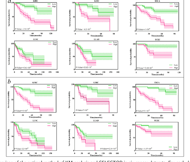 Figure 4 for SELECTOR: Heterogeneous graph network with convolutional masked autoencoder for multimodal robust prediction of cancer survival