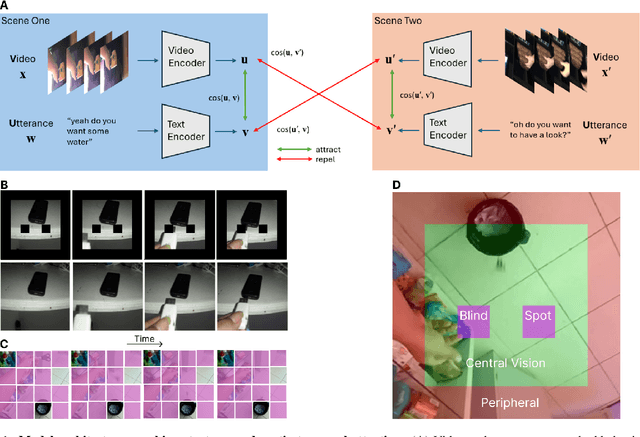 Figure 2 for Do Blind Spots Matter for Word-Referent Mapping? A Computational Study with Infant Egocentric Video