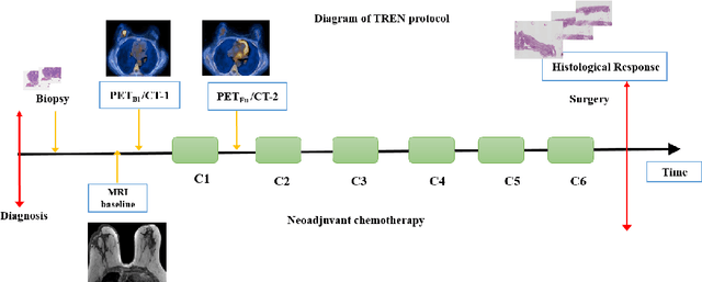 Figure 1 for Automatic quantification of breast cancer biomarkers from multiple 18F-FDG PET image segmentation