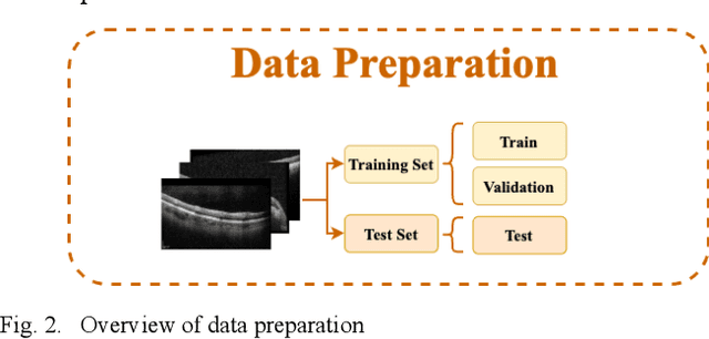 Figure 2 for KD-OCT: Efficient Knowledge Distillation for Clinical-Grade Retinal OCT Classification