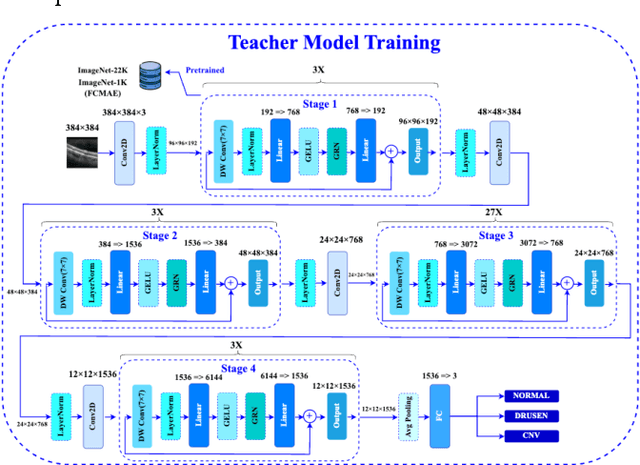 Figure 4 for KD-OCT: Efficient Knowledge Distillation for Clinical-Grade Retinal OCT Classification