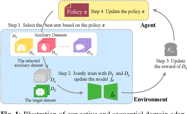 Figure 1 for Adapting Foundation Models for Few-Shot Medical Image Segmentation: Actively and Sequentially