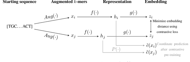 Figure 1 for Learning Genomic Structure from $k$-mers