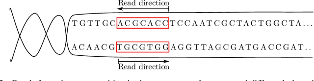Figure 3 for Learning Genomic Structure from $k$-mers